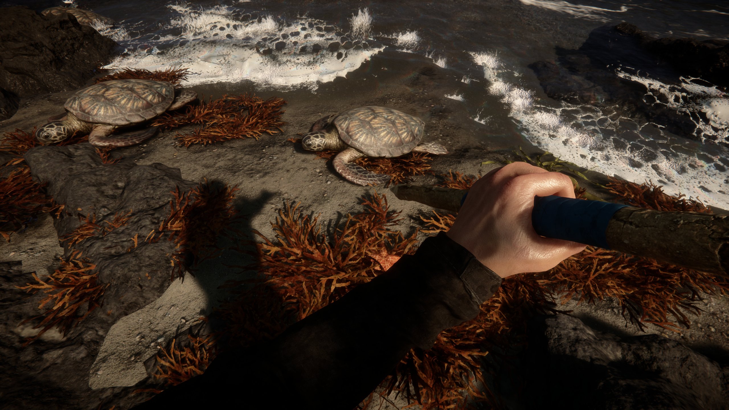 Sons of the Forest | Neue Screens und Release verschoben - Game-Ing  Community – Blog | Reviews | Games